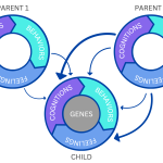 Understanding the Interactions Between Individual, Family, and Contextual Factors in Child Anxiety & Depression by Elise Gurney